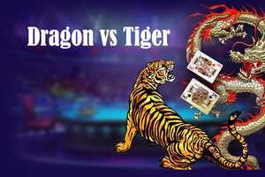 How to Download Dragon Tiger Predictor in India