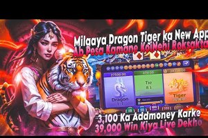 Top 5 Casinos to Play Dragon Tiger in India